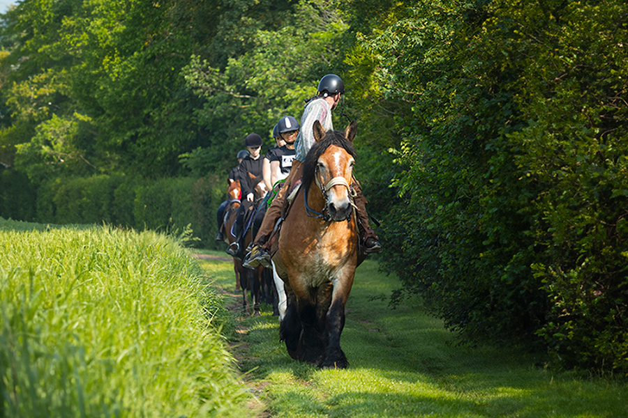  Balades et randonnées en Vallée de l'Eure 